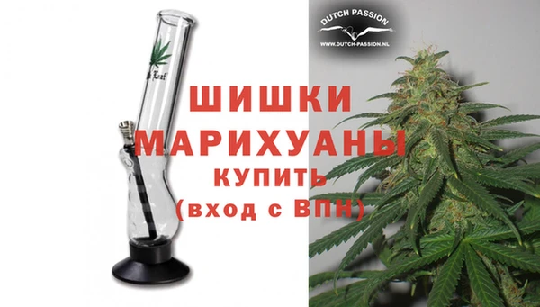 индика Алзамай