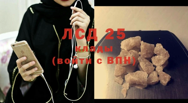 индика Алзамай